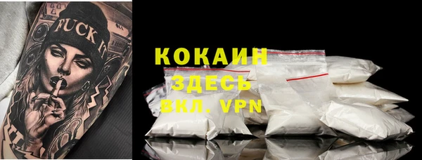 гашик Горнозаводск