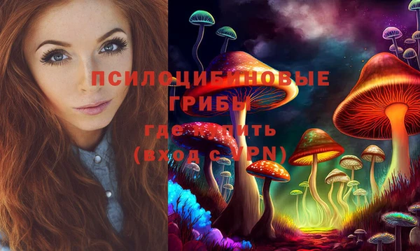гашик Горнозаводск