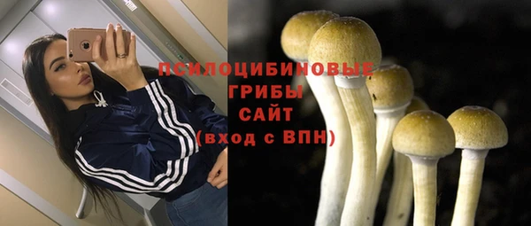 jwh Горно-Алтайск