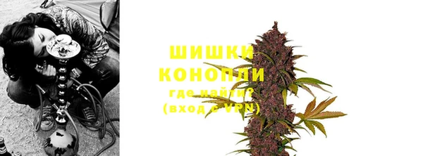 прущий лед Дмитриев