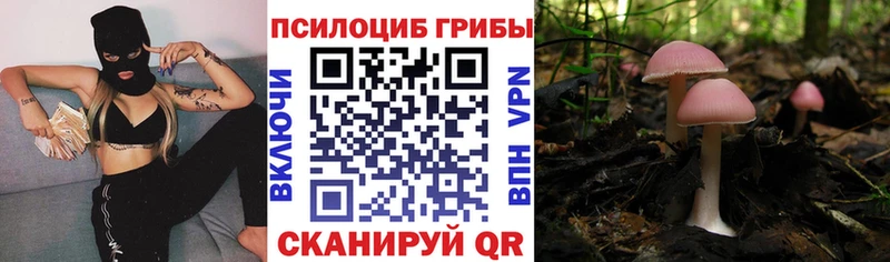 Купить закладки  Кировград  Псилоцибиновые грибы прущие грибы 
